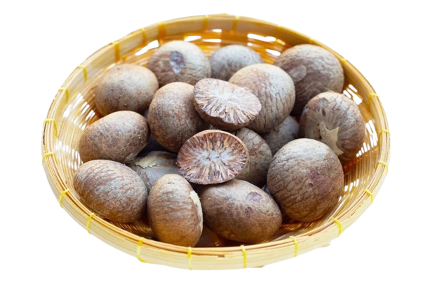 Indonesian Betel Nut Exporter