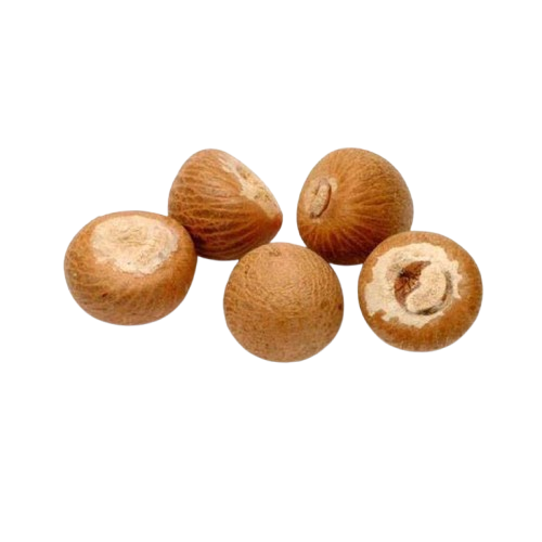 Premium Indonesian Whole Betel Nut Export Quality